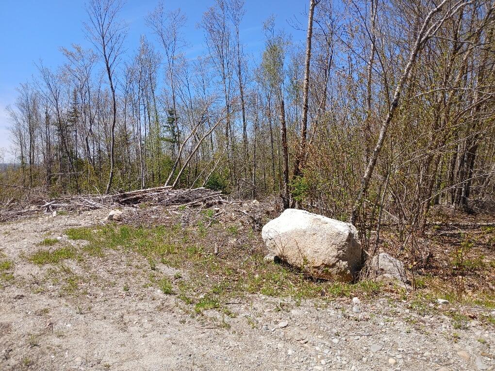 40 Eleanor Mae Road Cherryfield, ME 04622 - Photo 9 of 30 20250513_121256_resized