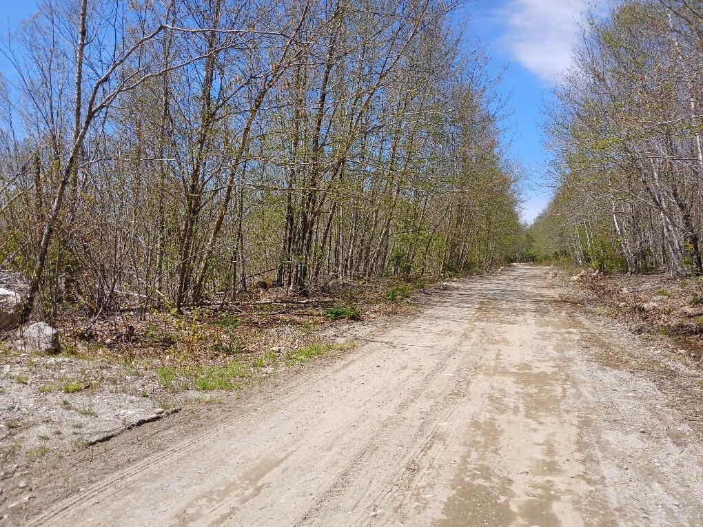 40 Eleanor Mae Road Cherryfield, ME 04622 - Photo 10 of 30 20250513_121305_resized