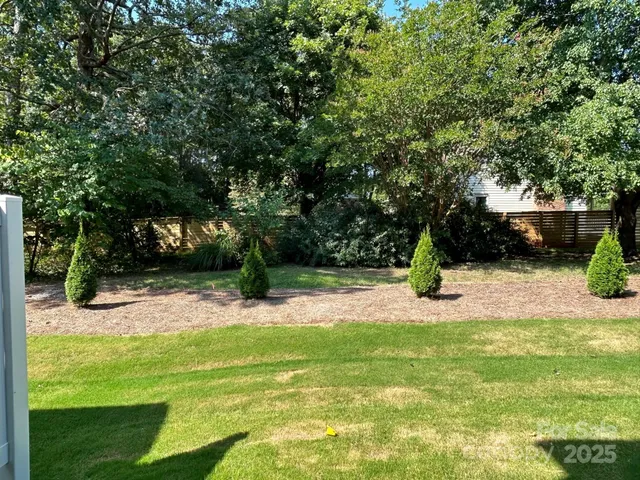 a view of a yard with plants