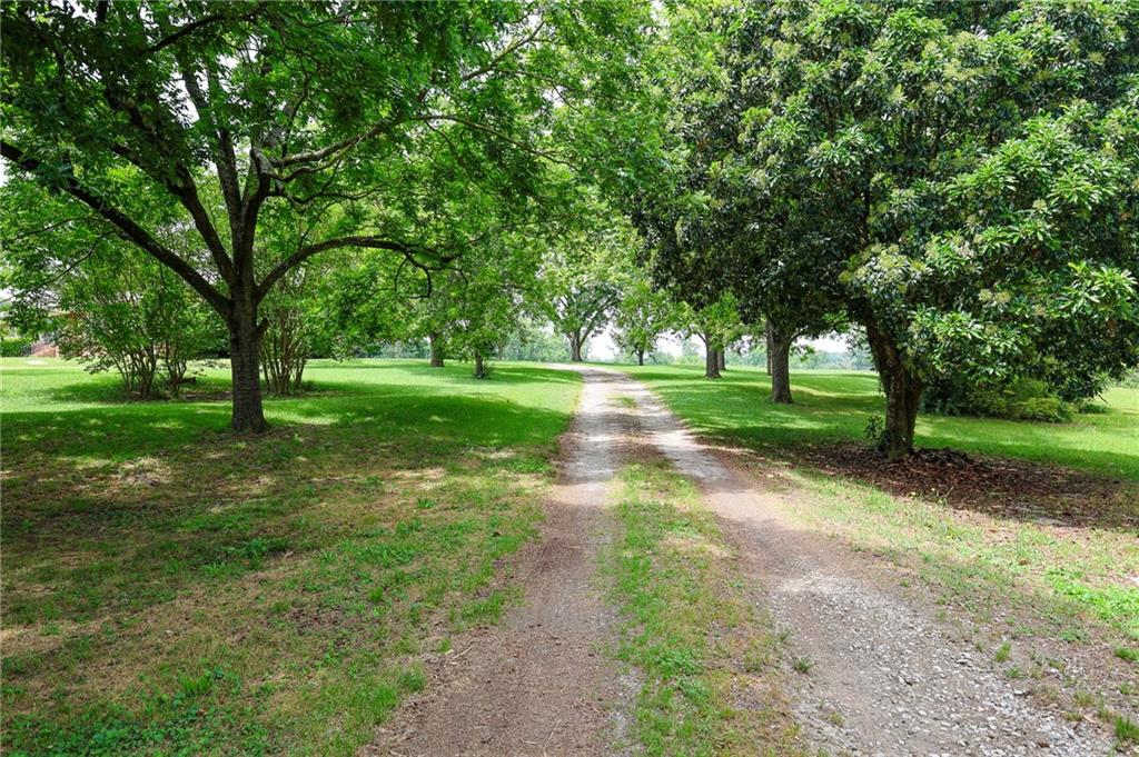 570 Wildcat Bridge Road Royston, GA 30662 - Photo 22 of 29 a view of a park with large trees