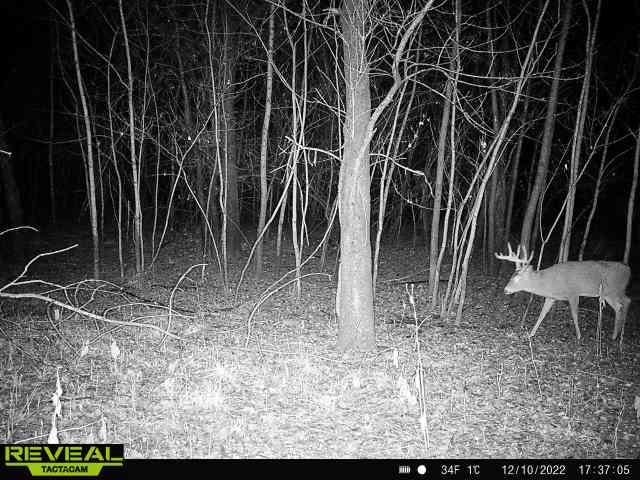 22-nd 22-nd Avenue Road Vinton, IA 52349 - Photo 4 of 15 Gallery Image 4
