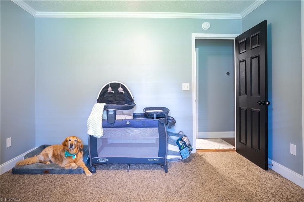 214 Fork Bixby Road Advance, NC 27006 - Photo 11 of 40 2nd Bedroom - Golden Retriever not included!