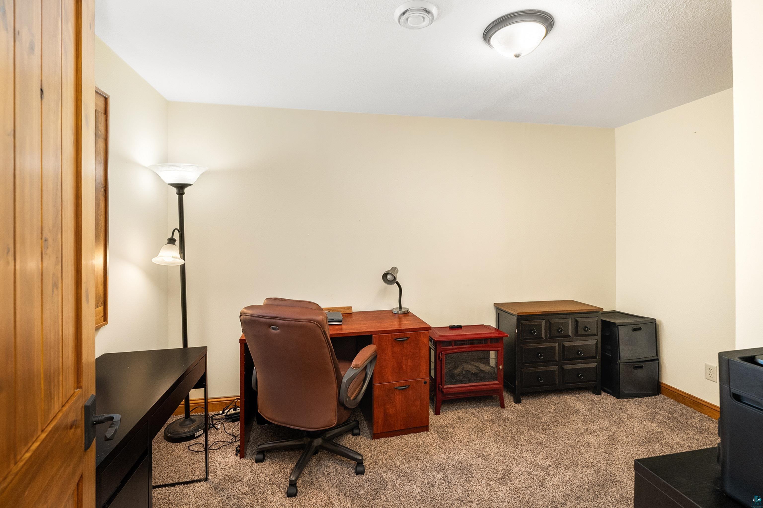 75 East Stark Road Esko, MN 55733 - Photo 45 of 87 Carpeted room with light neutral walls, featuring a wood-finish door with black hardware, and a ceiling-mounted light fixture