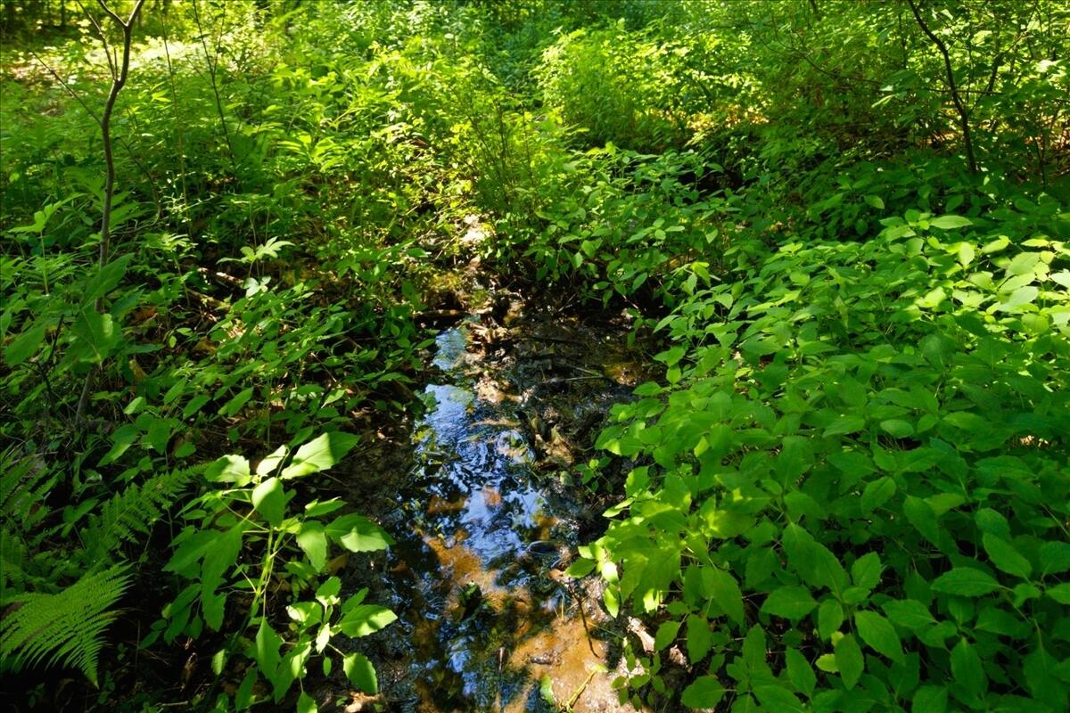 714 Mt Pisgah Road Winthrop, ME 04364 - Photo 90 of 94 013-DSC06059