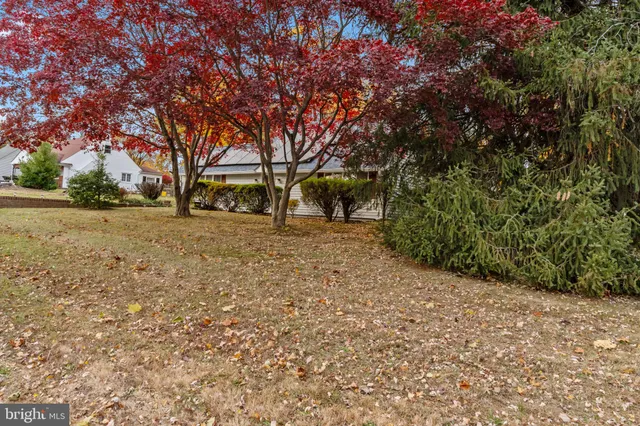 a big yard with large trees