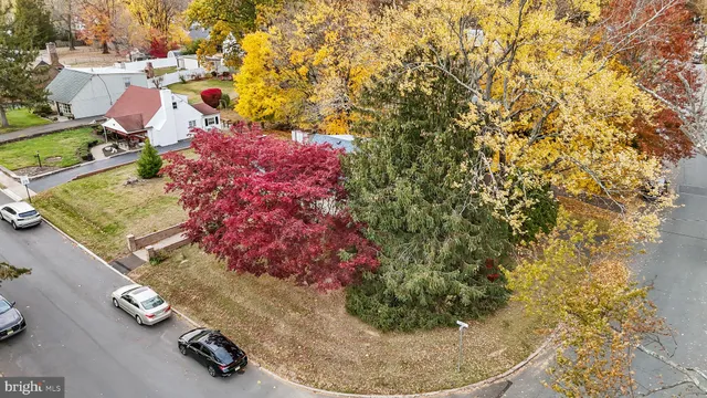 a view of a yard with plants