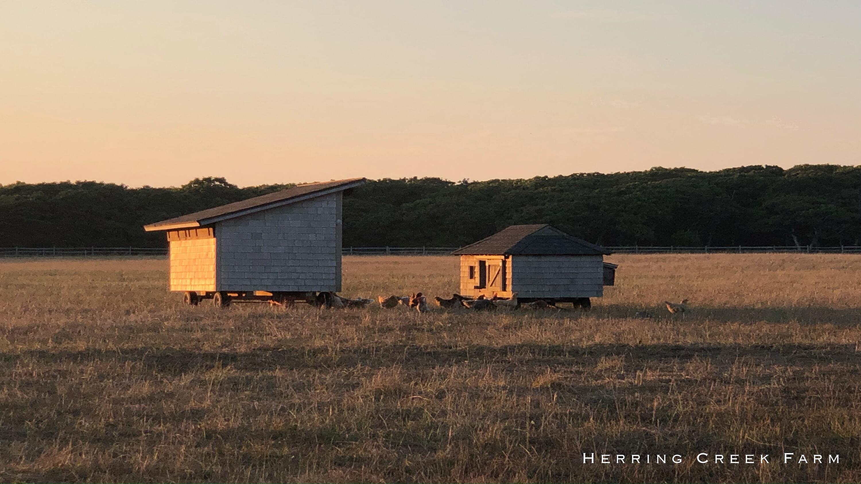 15 Forever Wild Way Edgartown, MA 02539 - Photo 25 of 29 26 GREAT POINT