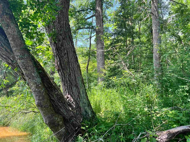 $24,900 | Xxx Xxx Chippewa Trail, Exeland, WI 54835