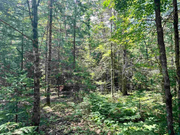 $24,900 | Xxx Xxx Chippewa Trail, Exeland, WI 54835
