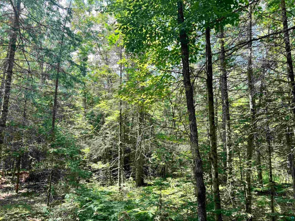 $24,900 | Xxx Xxx Chippewa Trail, Exeland, WI 54835