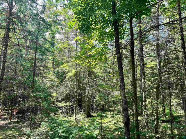 $24,900 | Xxx Xxx Chippewa Trail, Exeland, WI 54835