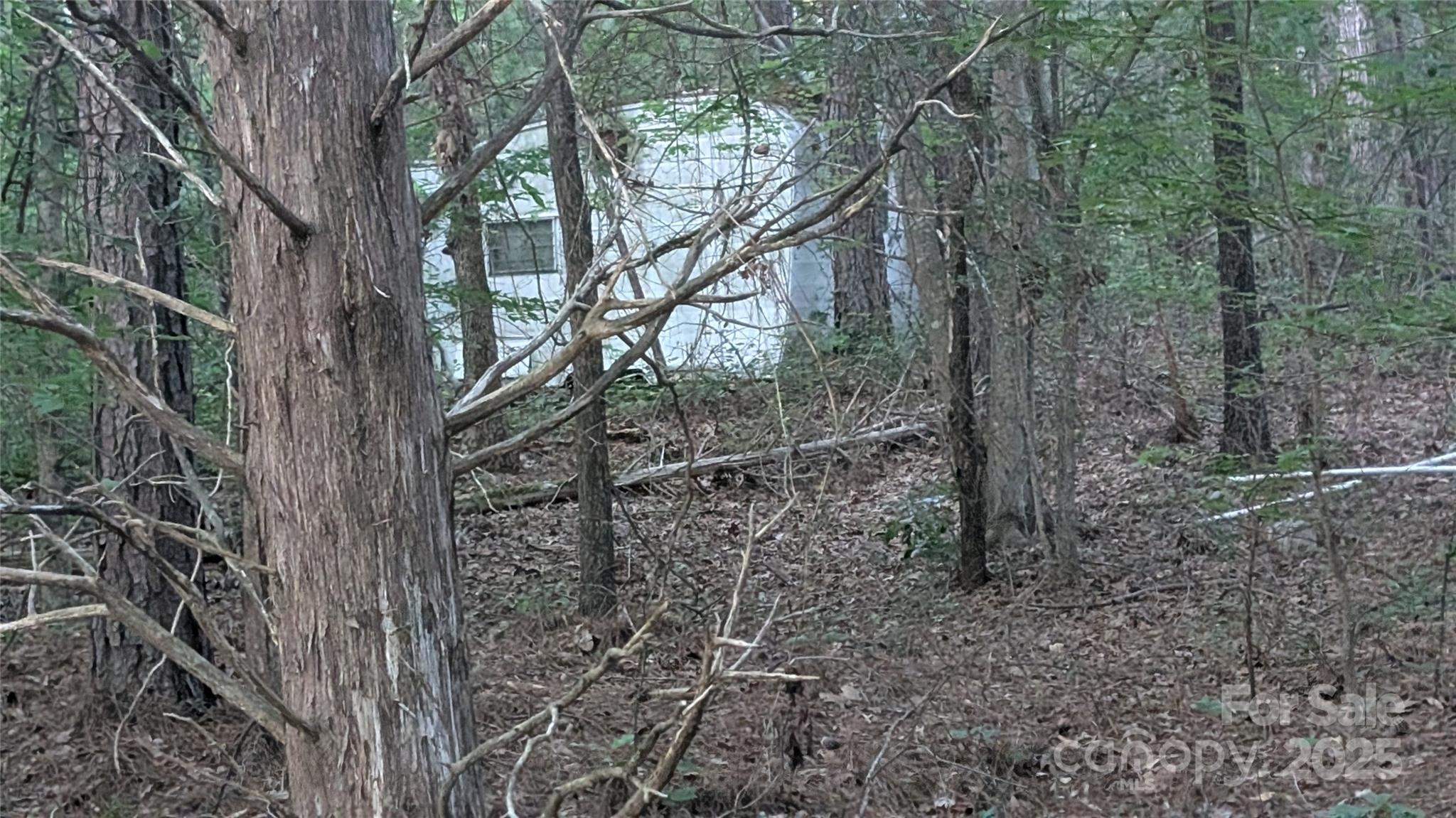 2592 Boyd Road Blackstock, SC 29014 - Photo 4 of 4