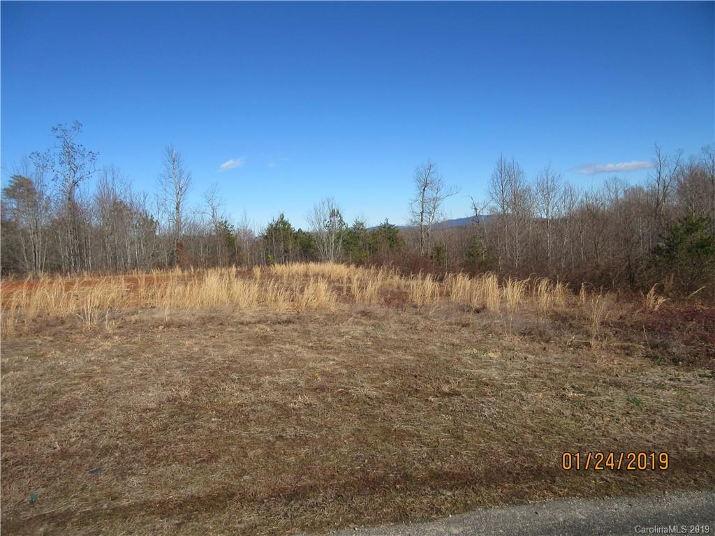 0 Aydlotte Road Rutherfordton, NC 28139 - Photo 1 of 14