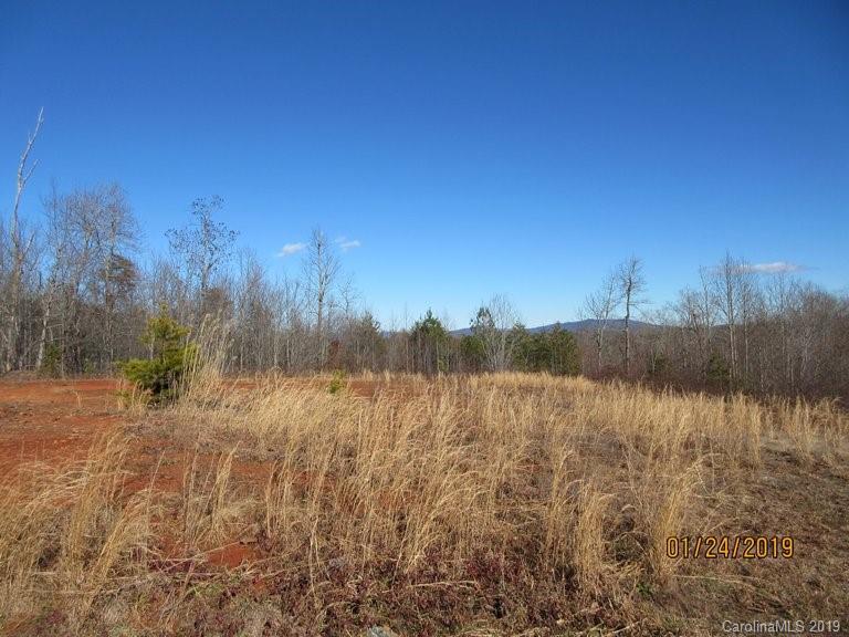 0 Aydlotte Road Rutherfordton, NC 28139 - Photo 3 of 14