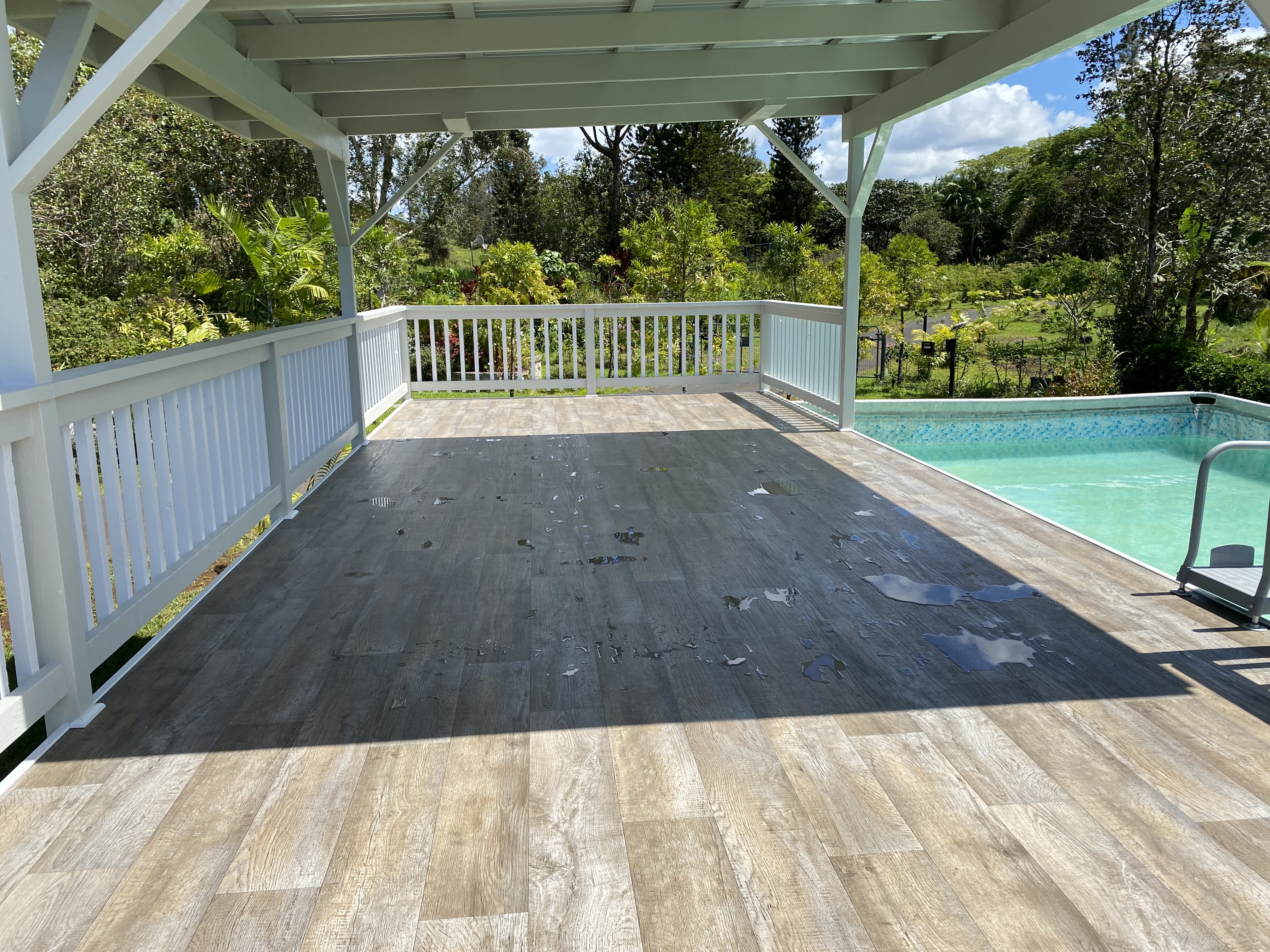 16-1321 Moho Road Keaau, HI 96749 - Photo 12 of 19 a view of backyard with green space