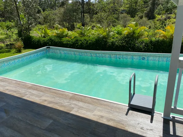 a view of a garden with lawn chairs