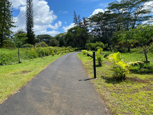 a view of a park with large trees