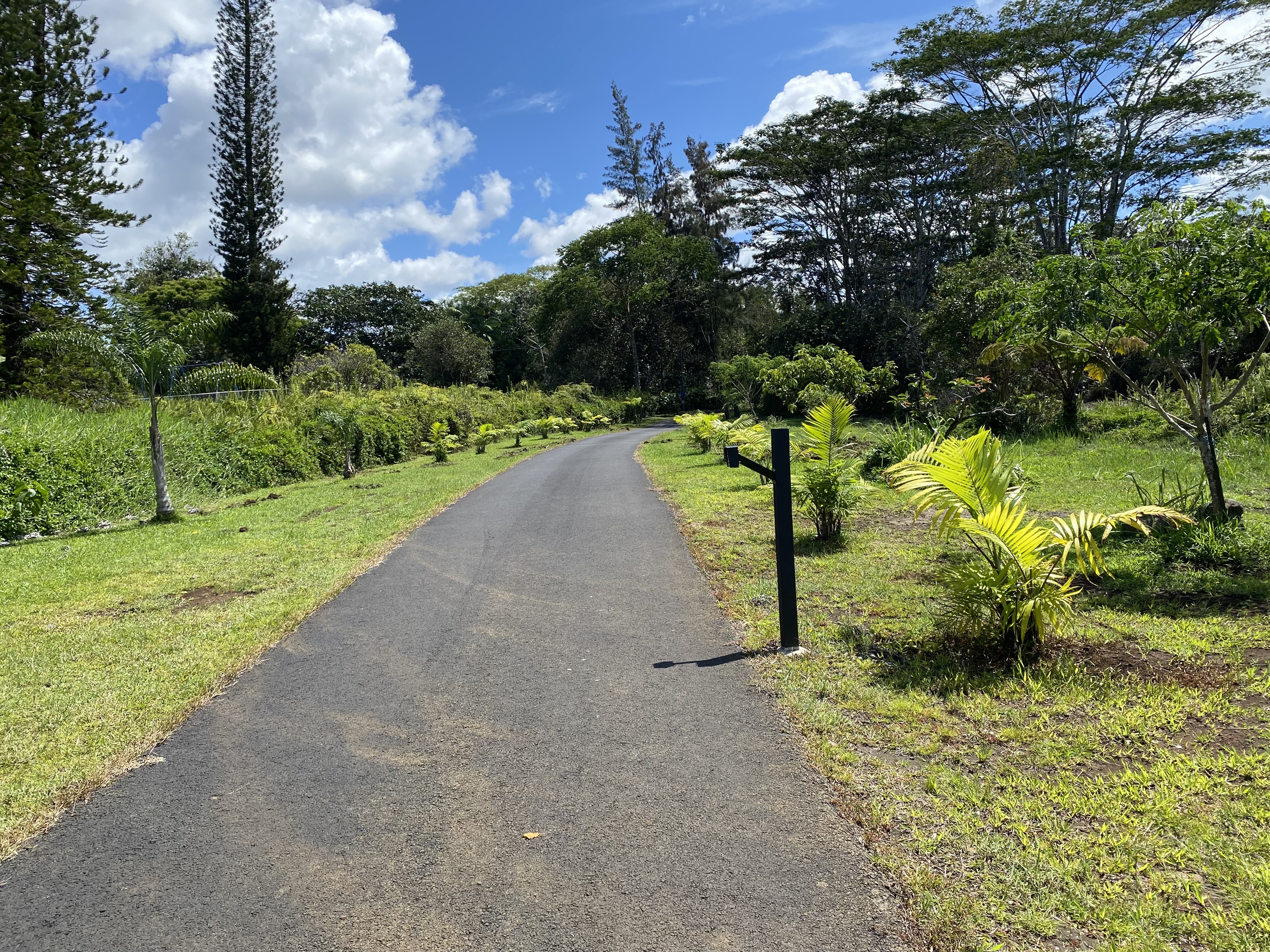 16-1321 Moho Road Keaau, HI 96749 - Photo 15 of 19 a view of a park with large trees
