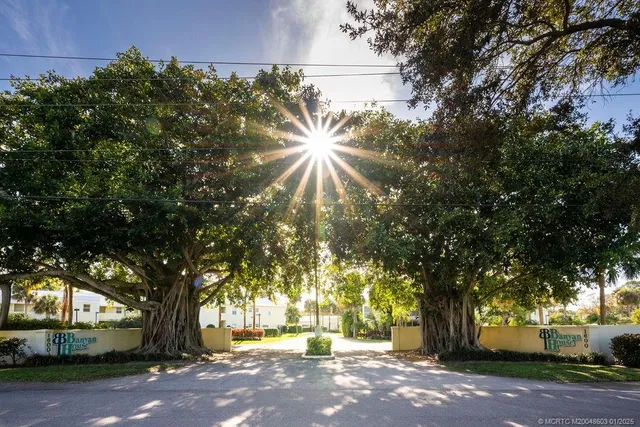 a view of a yard with a tree