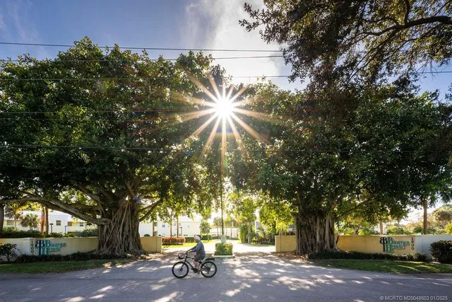 a view of yard with trees