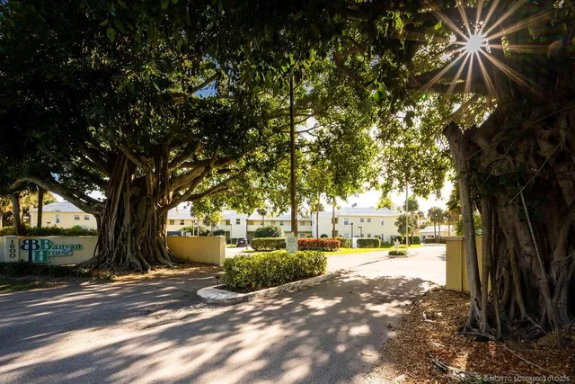 a view of a yard with plants and trees