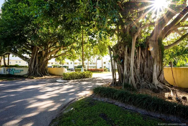 a view of yard with trees