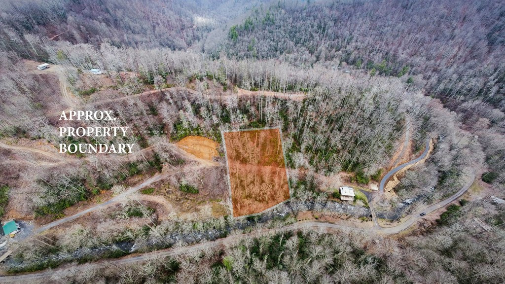 0 Little Snowbird Road Robbinsville, NC 28771 - Photo 7 of 19 Gallery Image 7