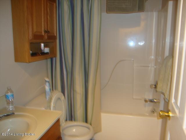 125 Buck Knobs Road Ekron, KY 40117 - Photo 12 of 45 hall bath