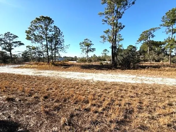 a view of a yard with an trees