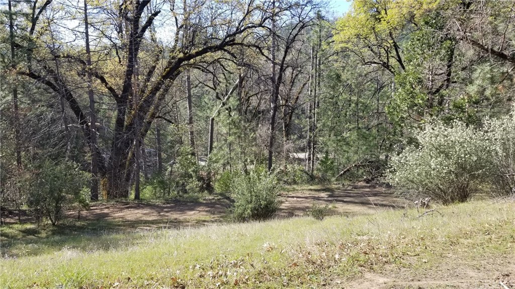 0 Pettitt Road Oakhurst, CA 93644 - Photo 1 of 1 Gallery Image 1