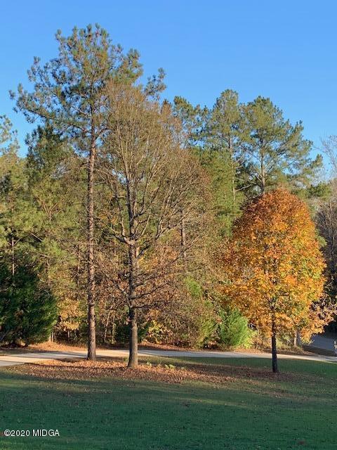 132 Brook Road Barnesville, GA 30204 - Photo 12 of 33 a view of lake
