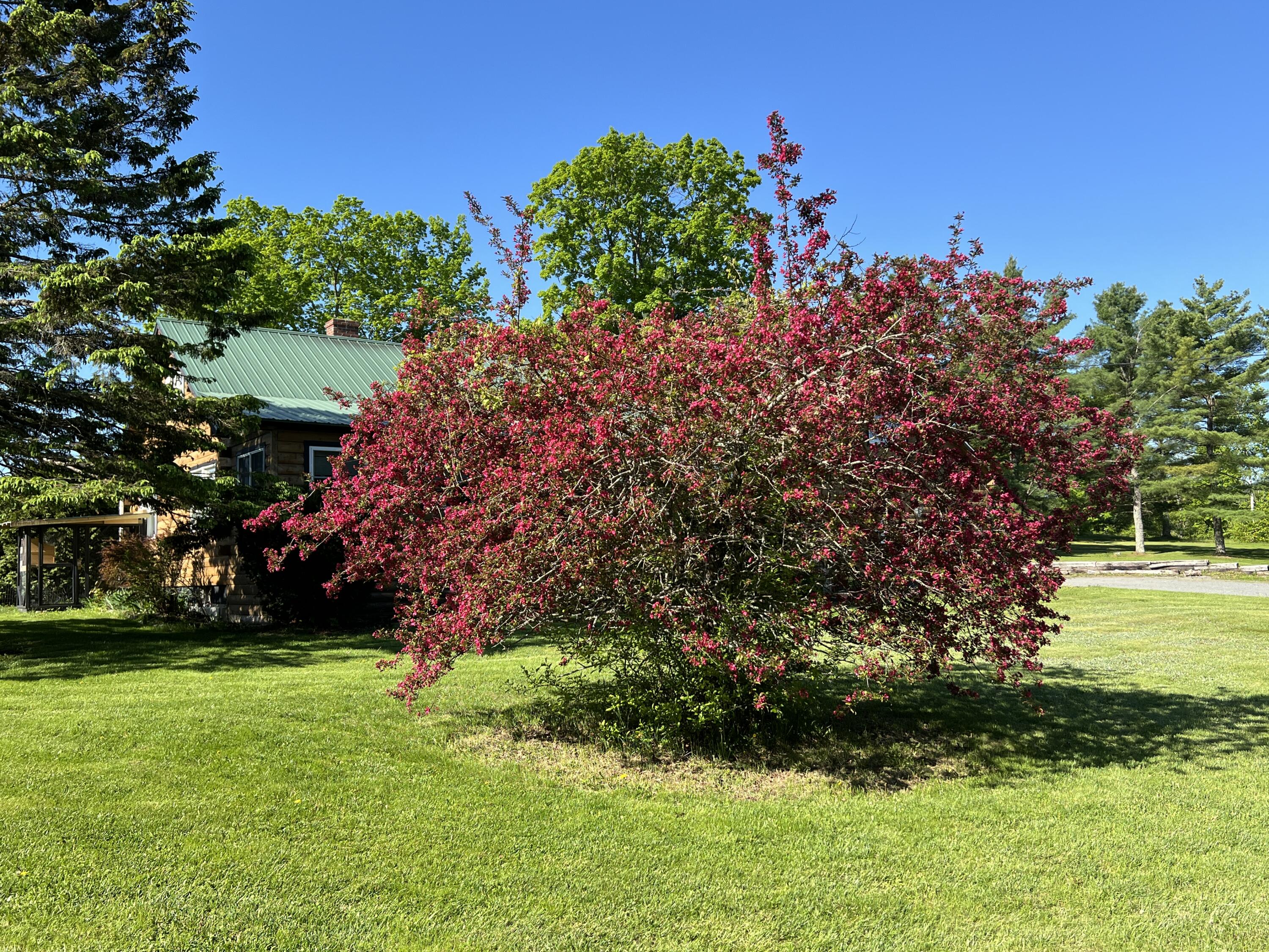 129 Ledge Hill Road Corinth, ME 04427 - Photo 19 of 68 IMG_3276
