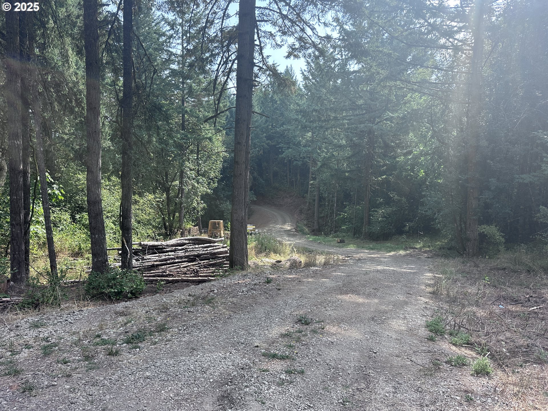 39357 Southwest Gibson Road Gaston, OR 97119 - Photo 2 of 8 a view of a forest with trees in the background
