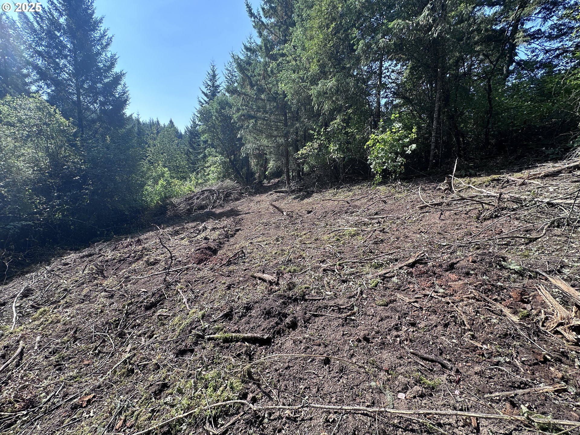 39357 Southwest Gibson Road Gaston, OR 97119 - Photo 8 of 8 a view of a yard