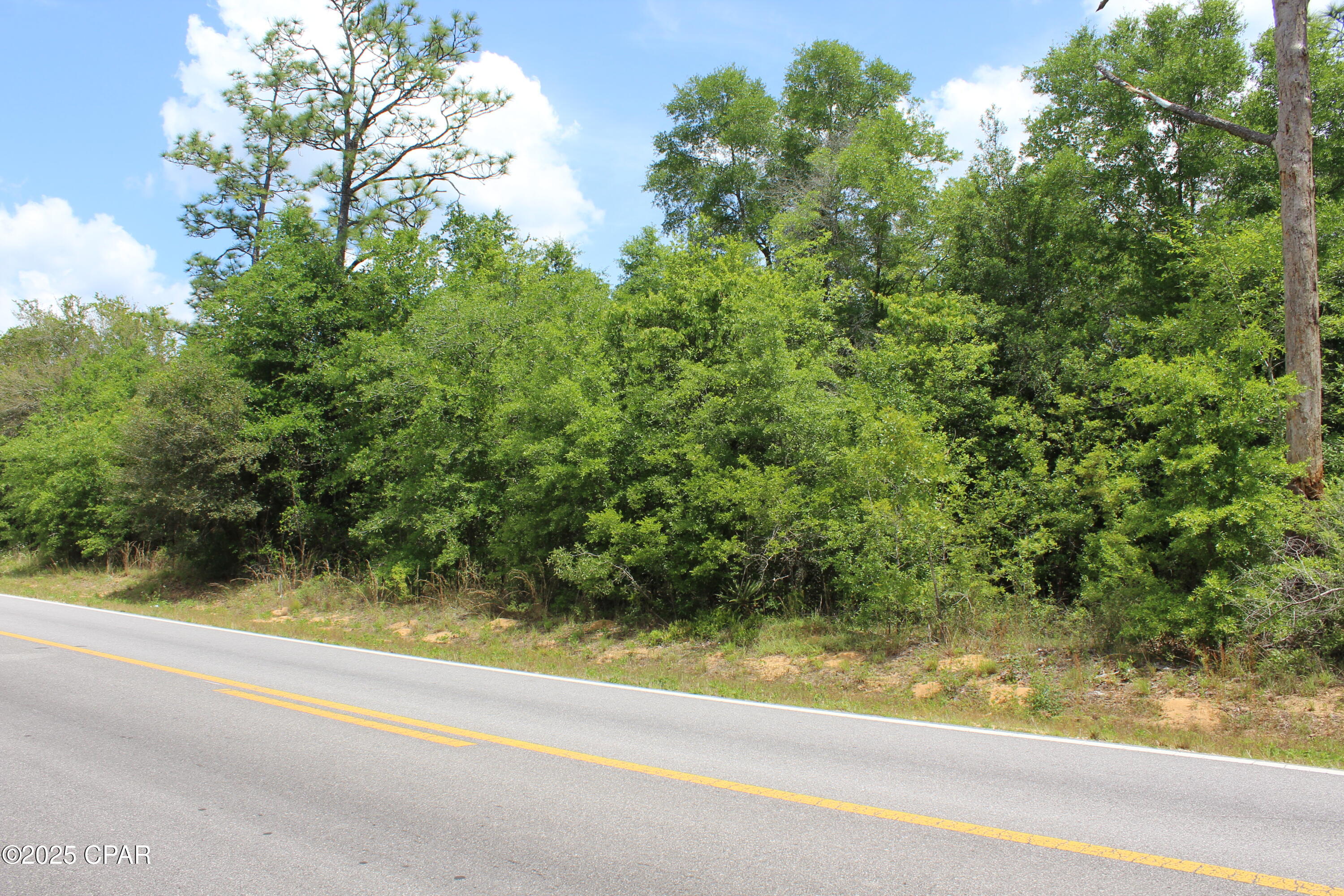 Lot 5 Arnone Lane Chipley, FL 32428 - Photo 9 of 11