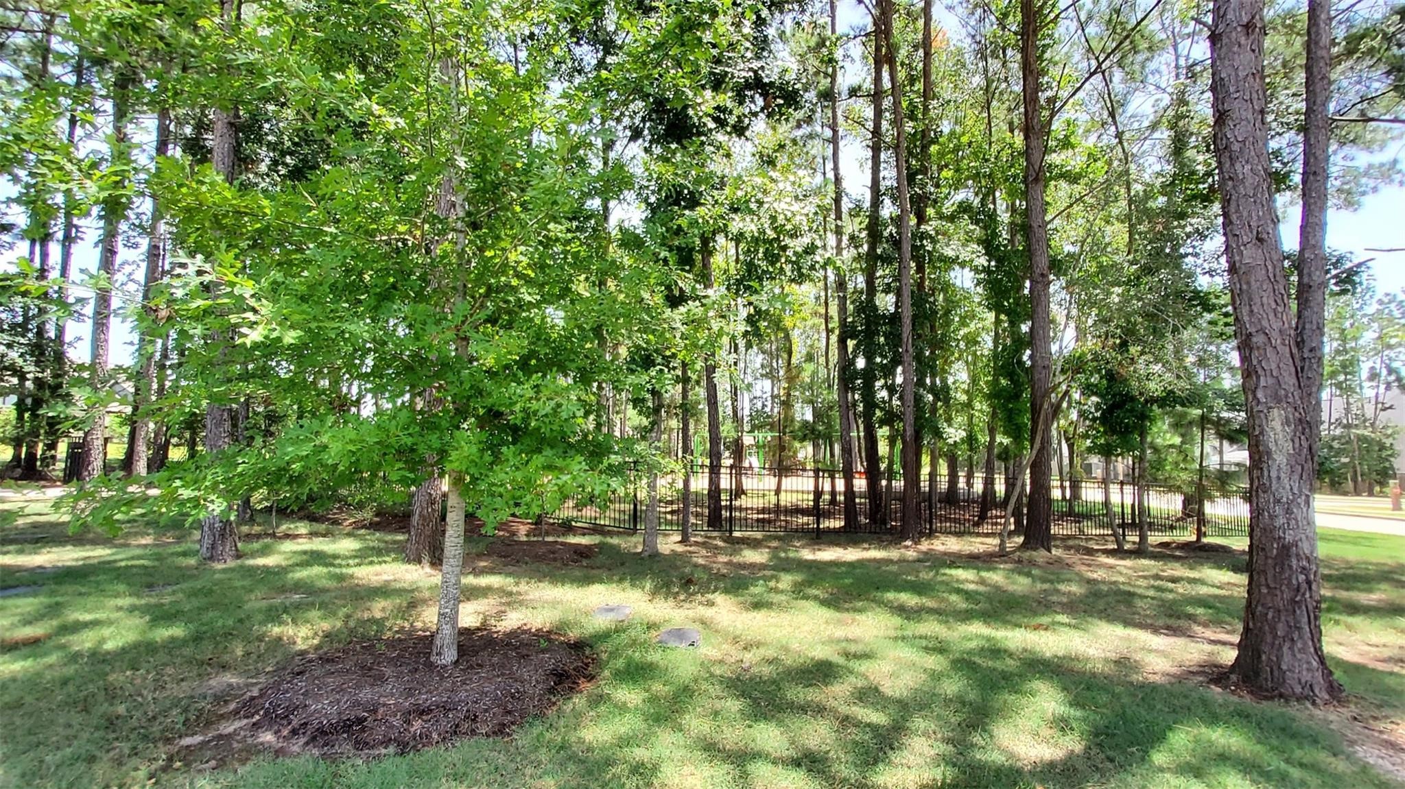 305 Rise Lane Montgomery, TX 77316 - Photo 45 of 48
