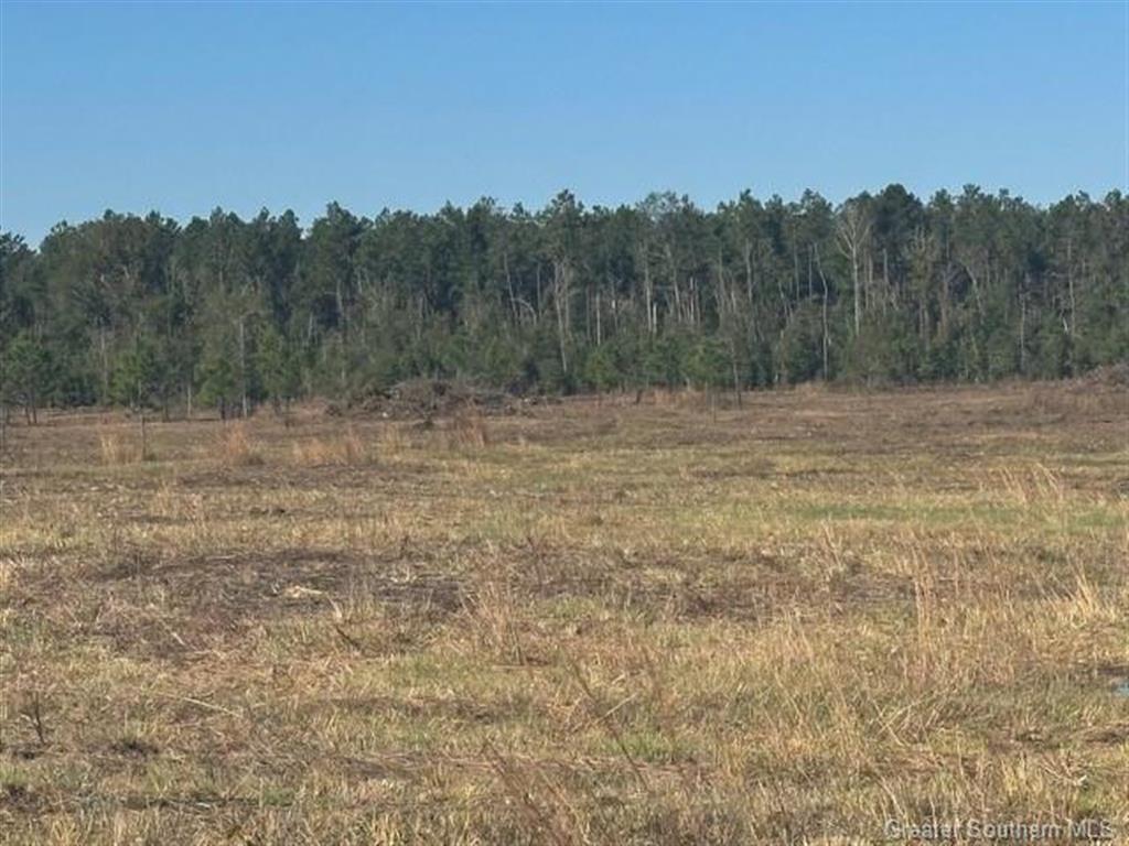 0 Conway Rosteet Road Longville, LA 70652 - Photo 7 of 19