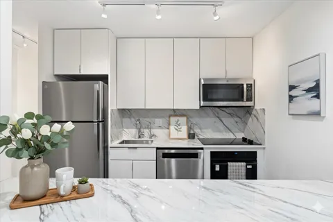 $399,500 | 88 West Schiller Street, Unit 904L, Chicago, IL 60610