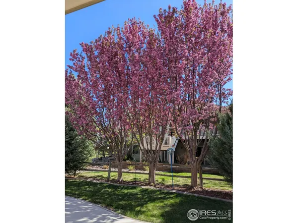 $1,025,000 | 1577 Bison Run Drive, Windsor, CO 80550
