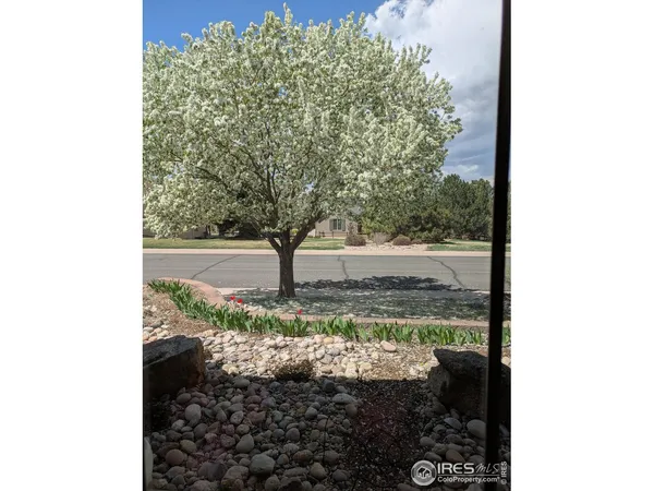 $1,025,000 | 1577 Bison Run Drive, Windsor, CO 80550