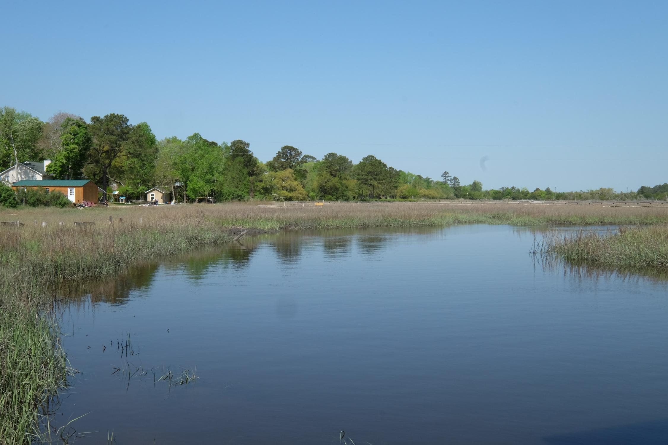 1285 River Road Johns Island, SC 29455 - Photo 1 of 23 2015-04-09 11.35.16