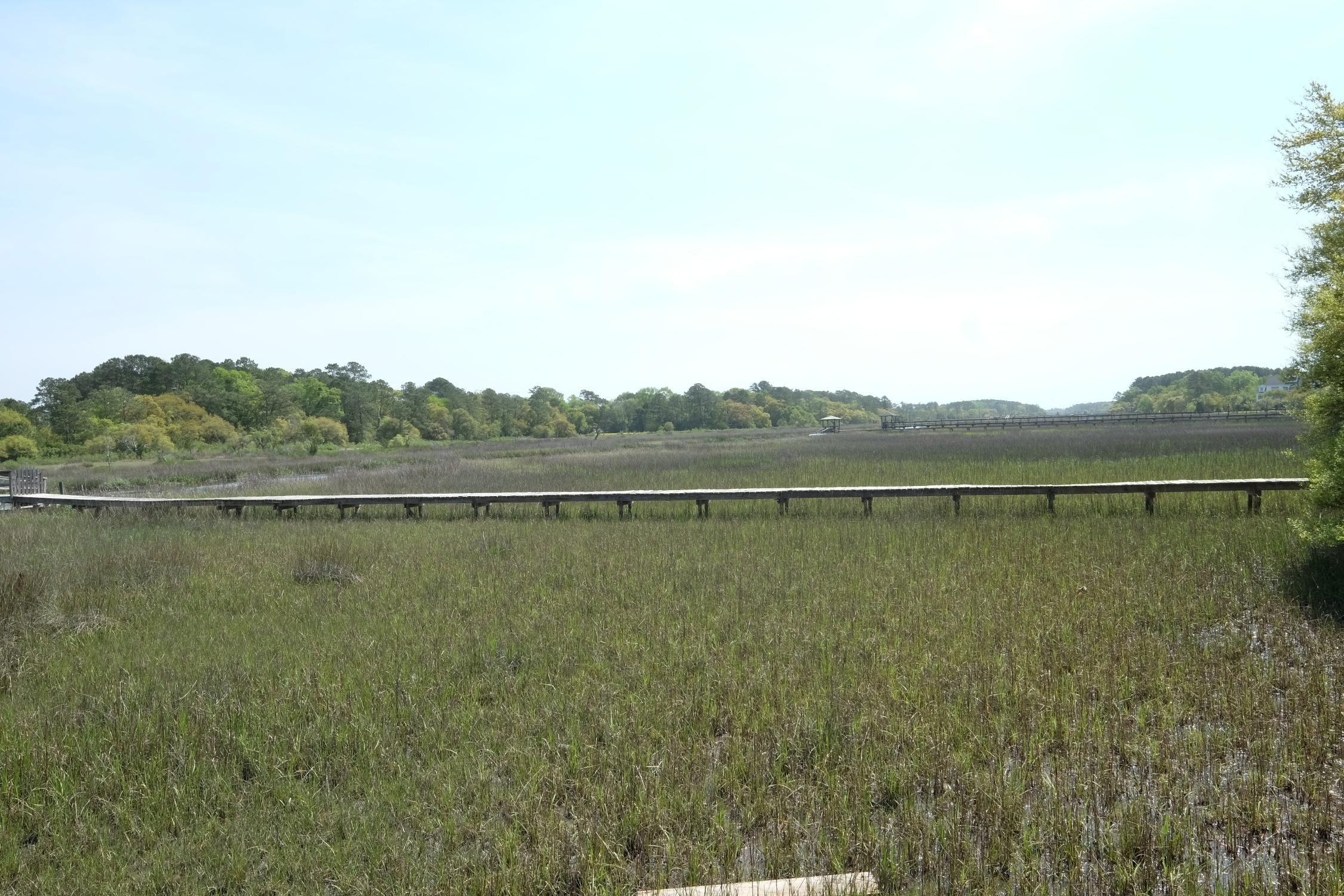 1285 River Road Johns Island, SC 29455 - Photo 9 of 23 2015-04-09 11.34.12