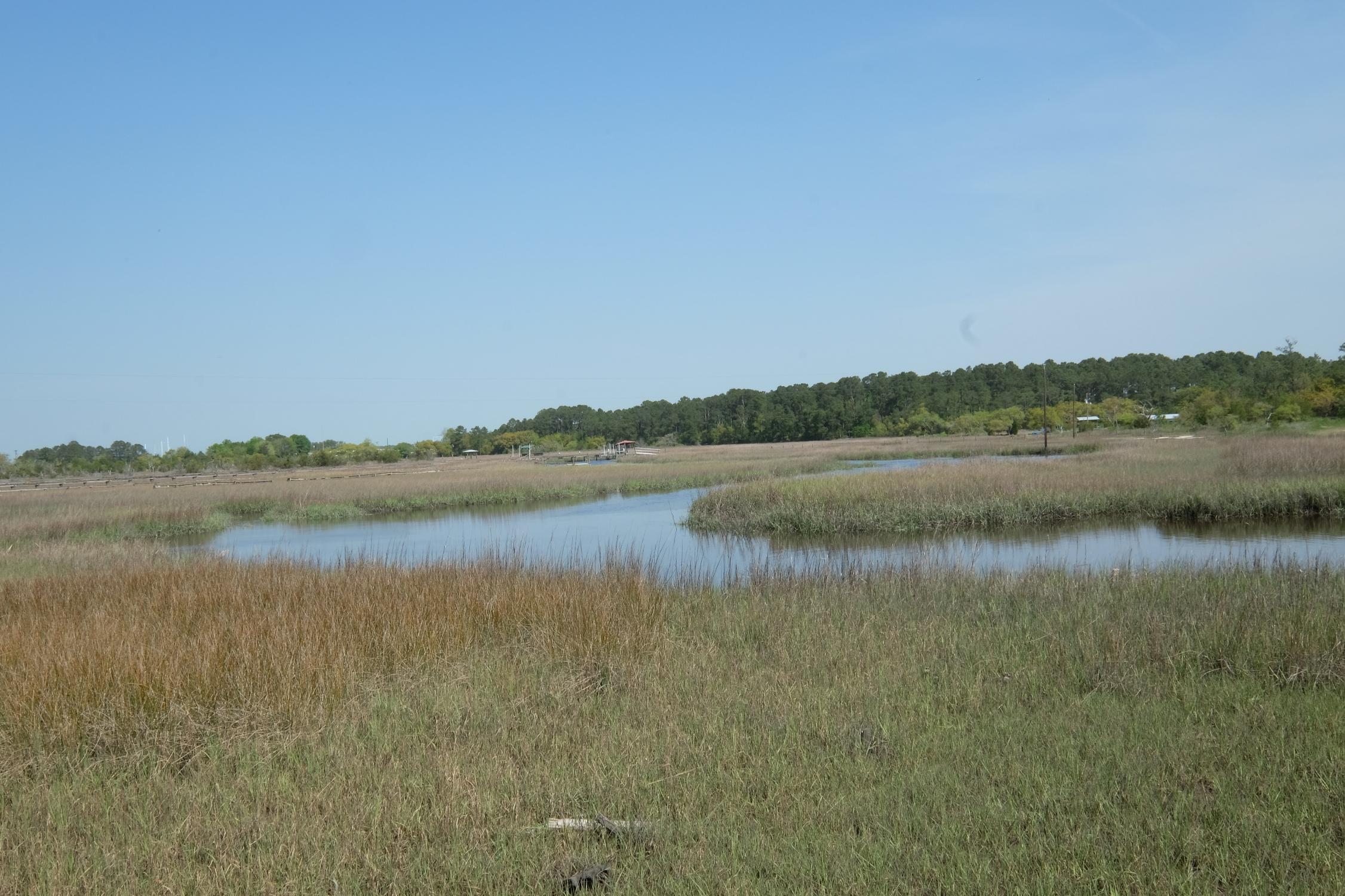 1285 River Road Johns Island, SC 29455 - Photo 10 of 23 2015-04-09 11.34.41