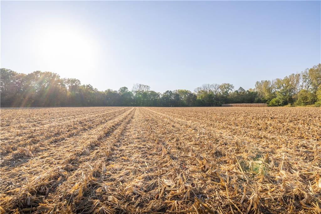 Northeast Berlin Road Pattonsburg, MO 64670 - Photo 11 of 15