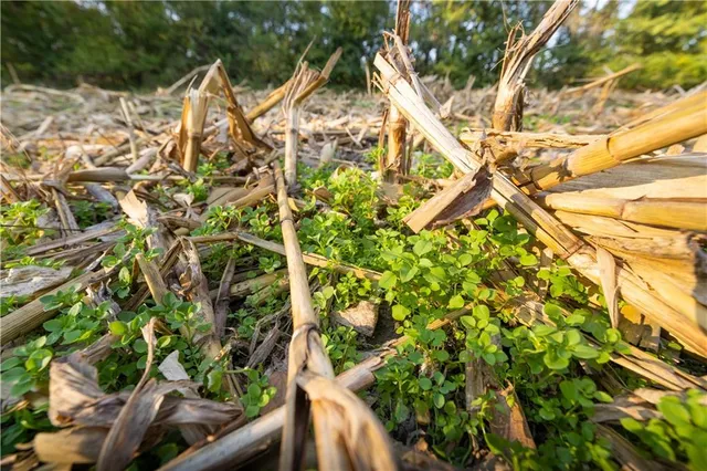 $338,000 | Northeast Berlin Road, Pattonsburg, MO 64670