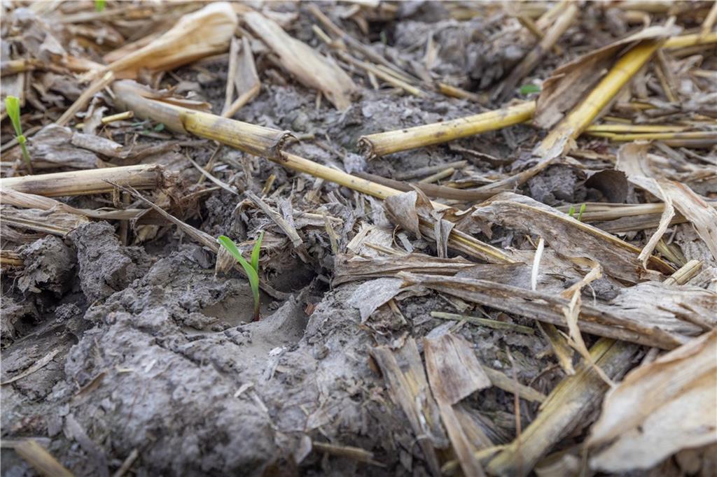 Northeast Berlin Road Pattonsburg, MO 64670 - Photo 15 of 15