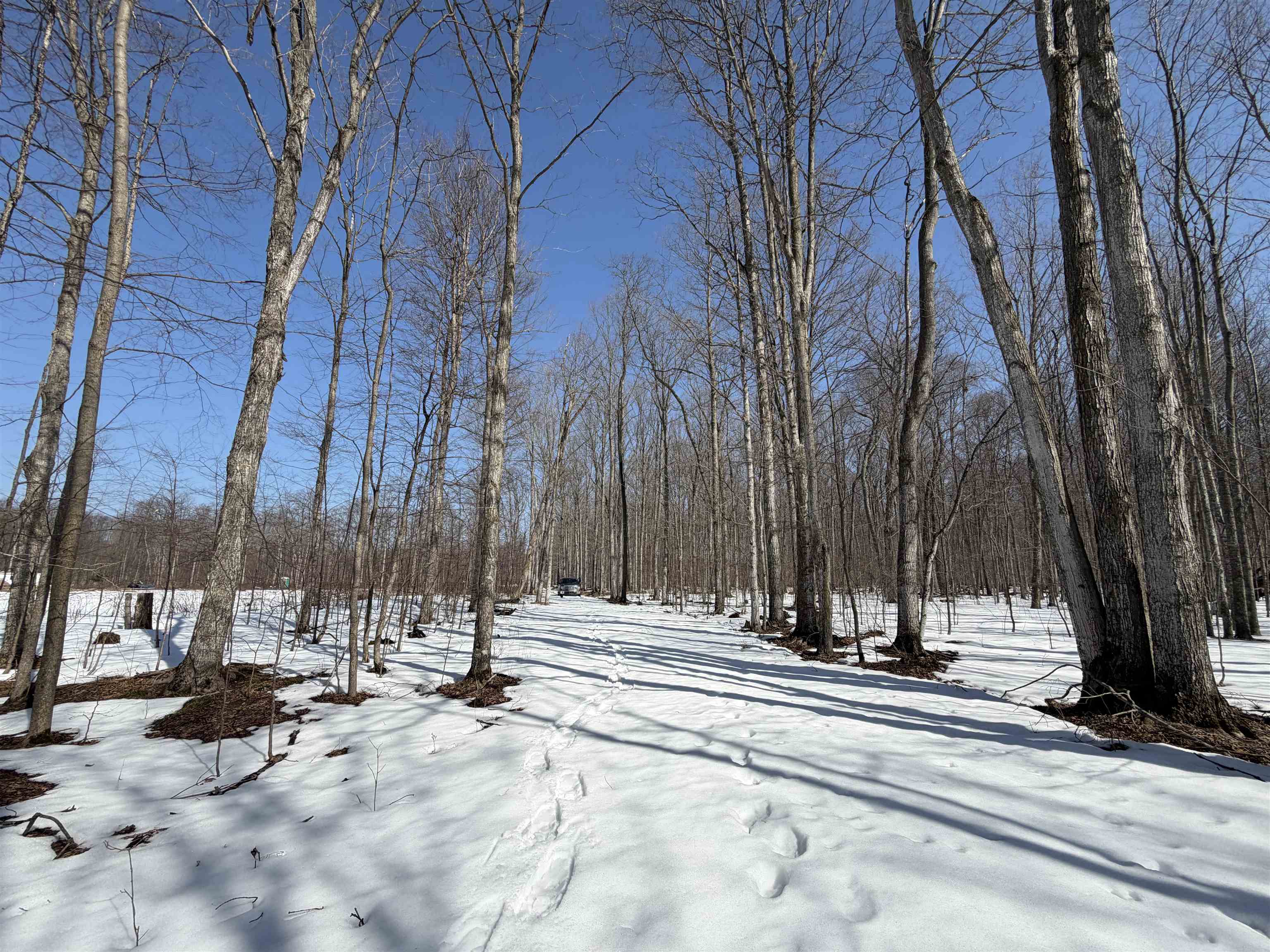South Drew Road Empire, MI 49630 - Photo 28 of 28 Gallery Image 28