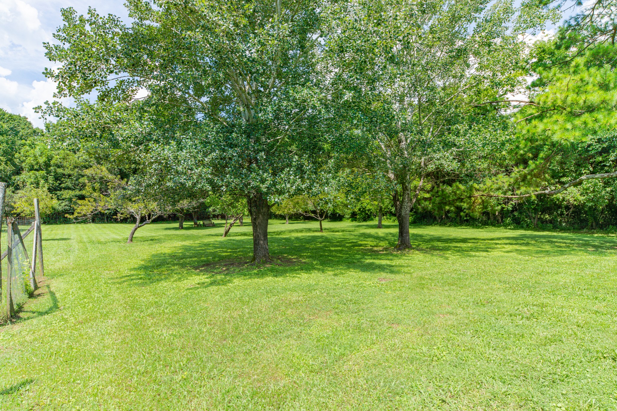 330 Holly Grove Road Lewisburg, TN 37091 - Photo 58 of 84
