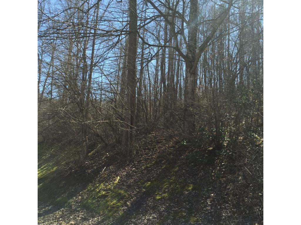 7922 Summer Breeze Road Pound, VA 24279 - Photo 11 of 11 Photo 11