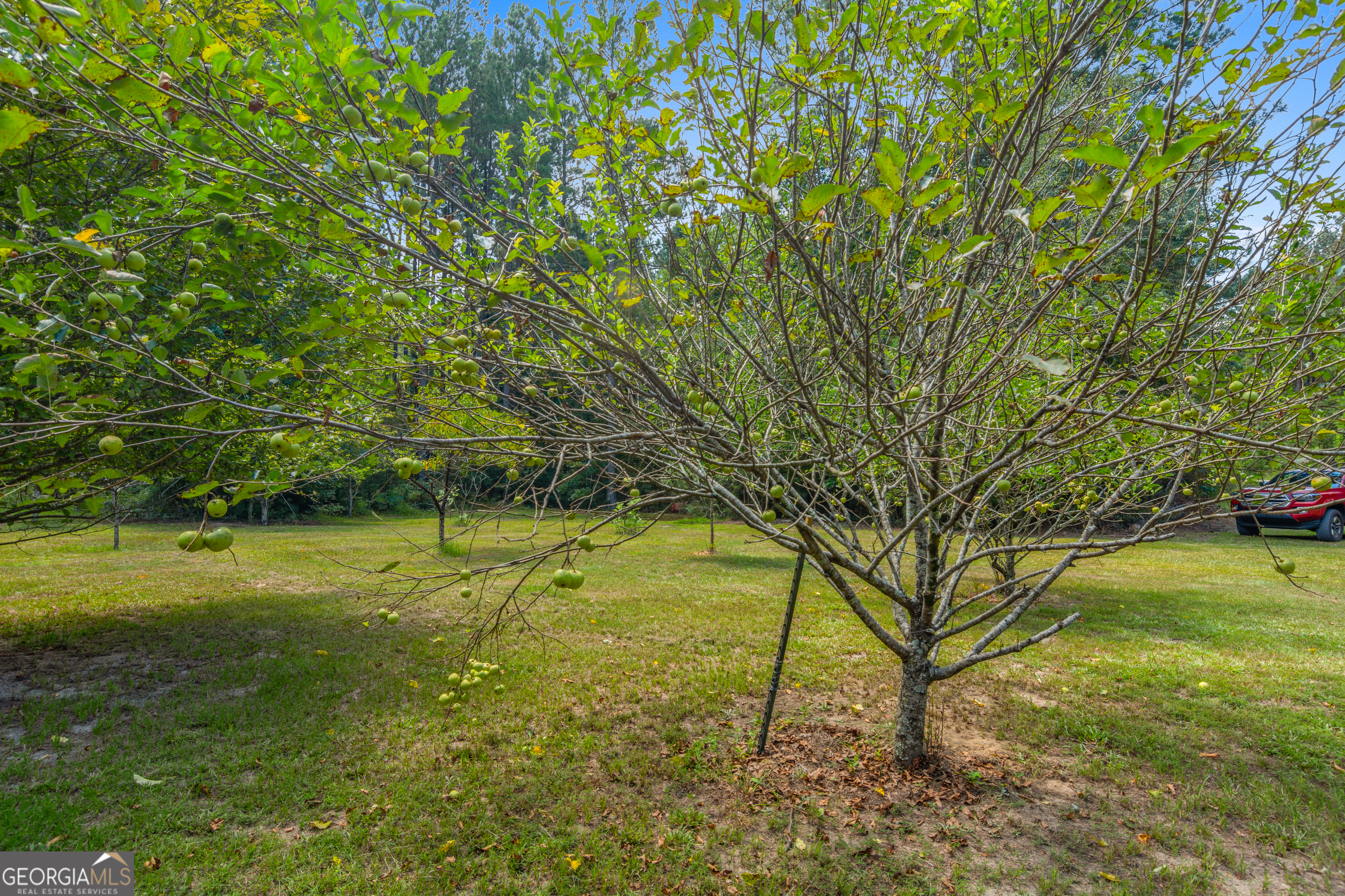 1269 Tarver Road Davisboro, GA 31018 - Photo 63 of 64